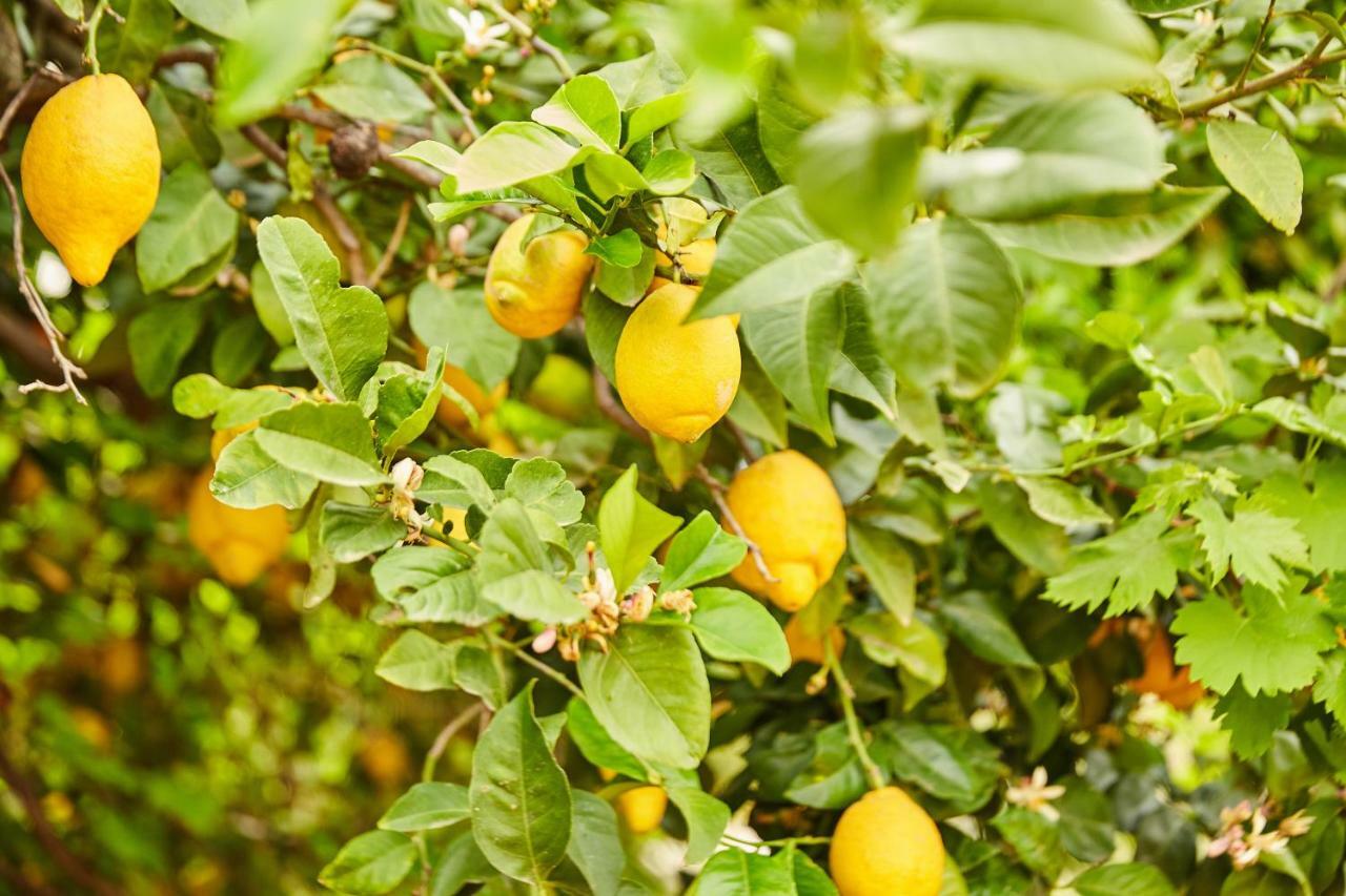 알로라 Finca Fenix 아파트 외부 사진